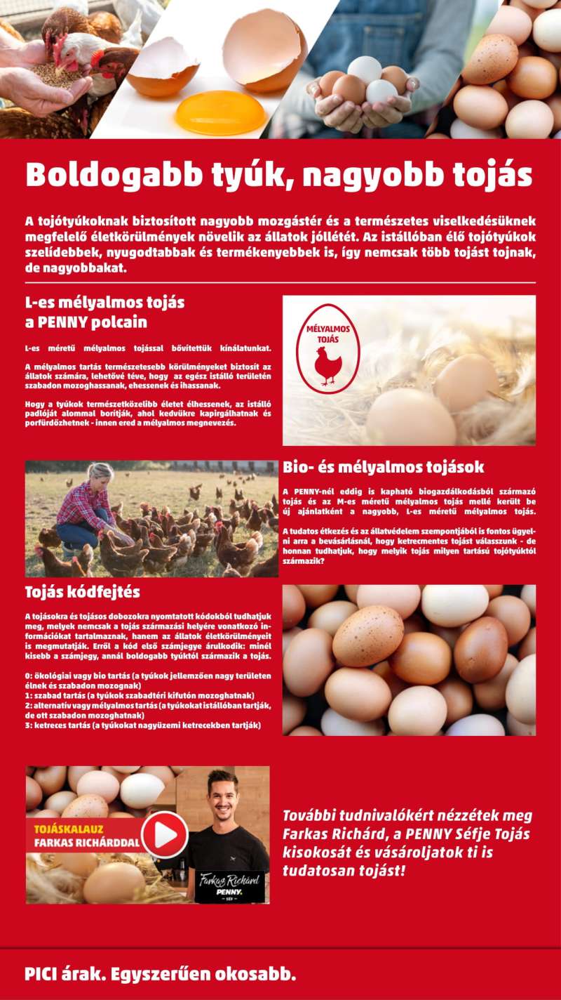 Penny Akciós Újság 42 oldal