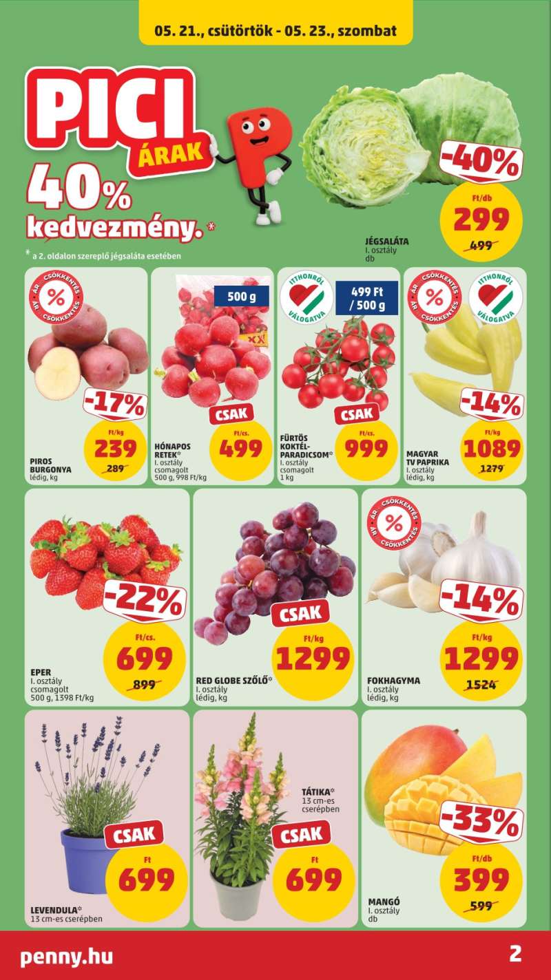 Penny Akciós Újság 2 oldal