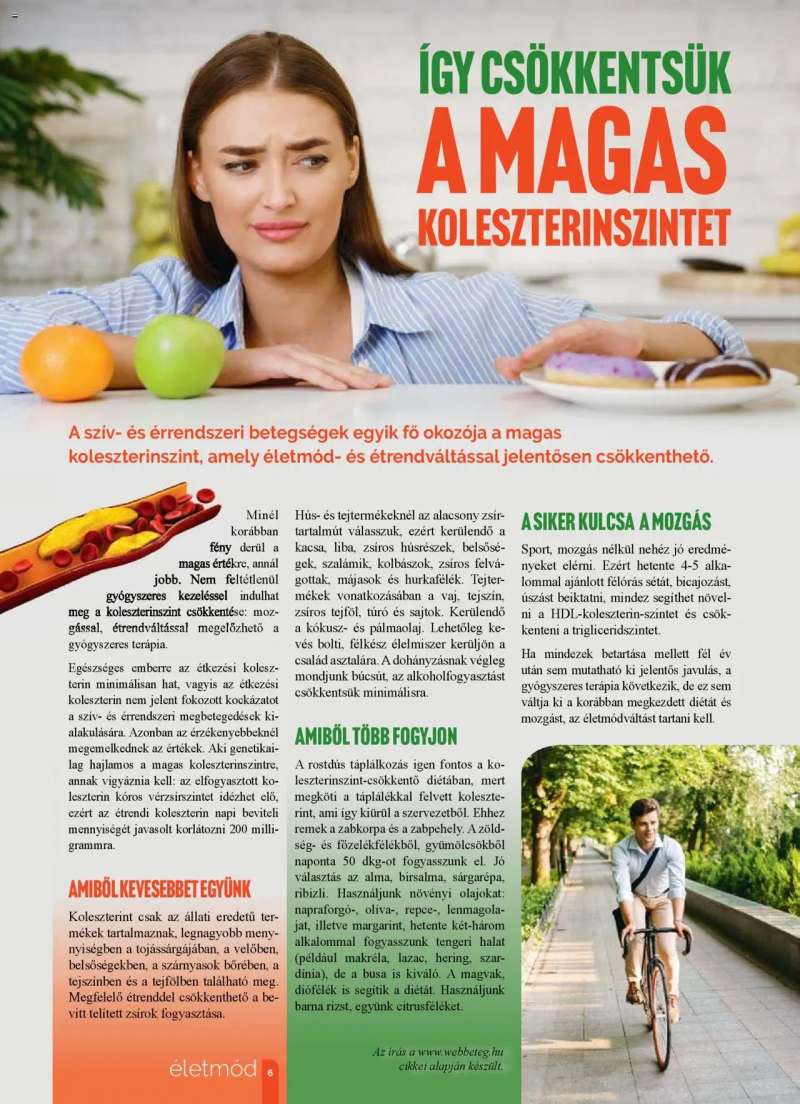 Pingvin Patika Pingvin Magazin 6 oldal