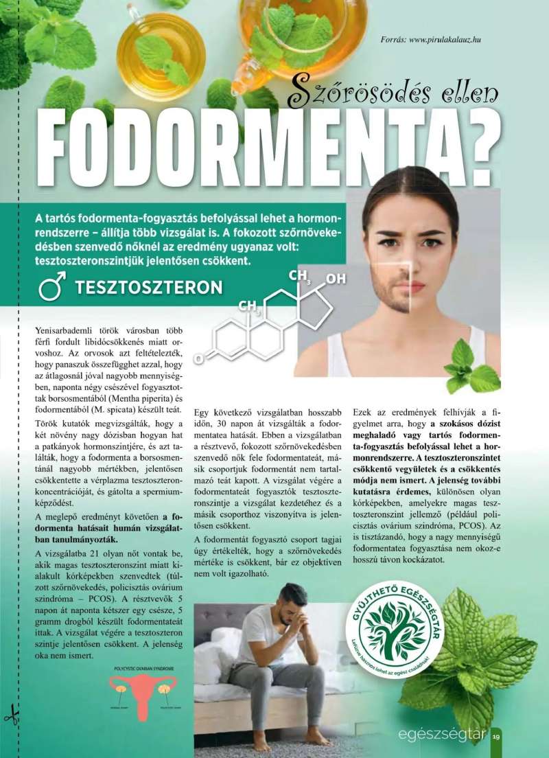 Pingvin Patika Pingvin Magazin 19 oldal