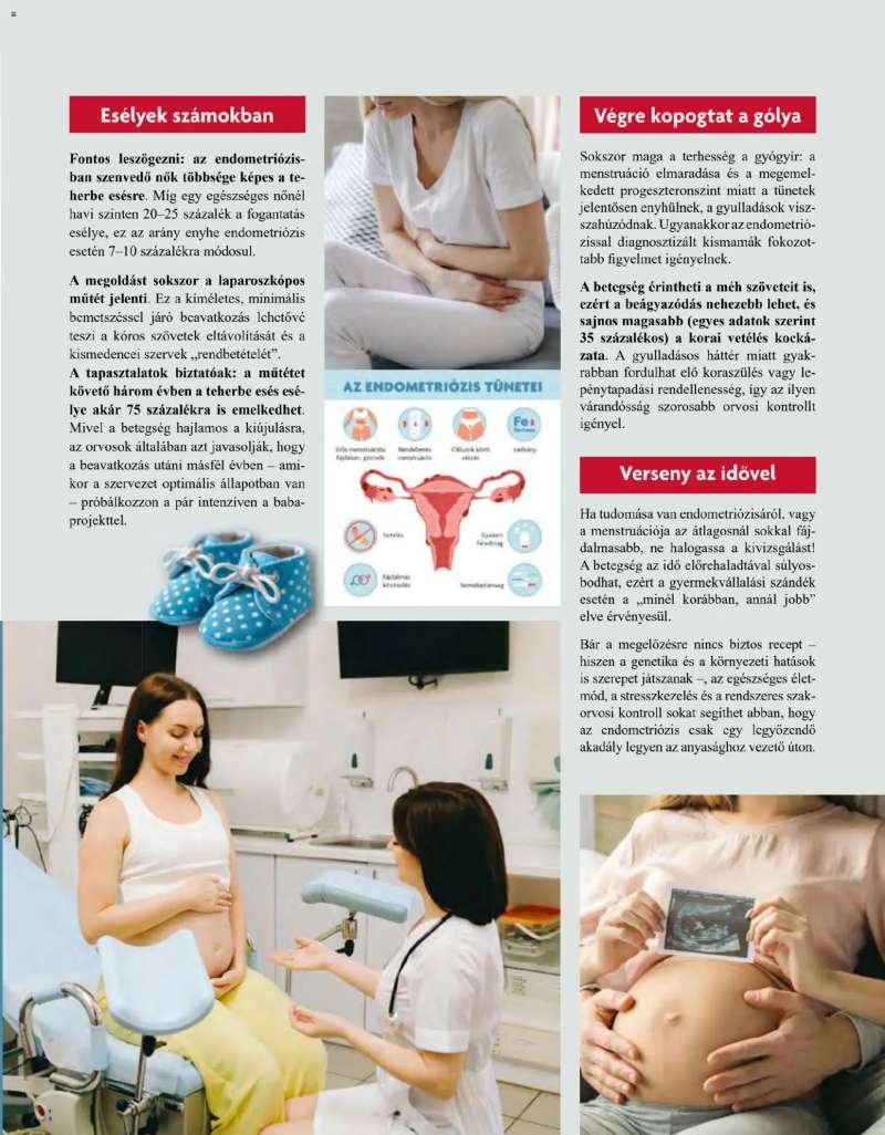 Pingvin Patika Pingvin Patika Magazin 23 oldal