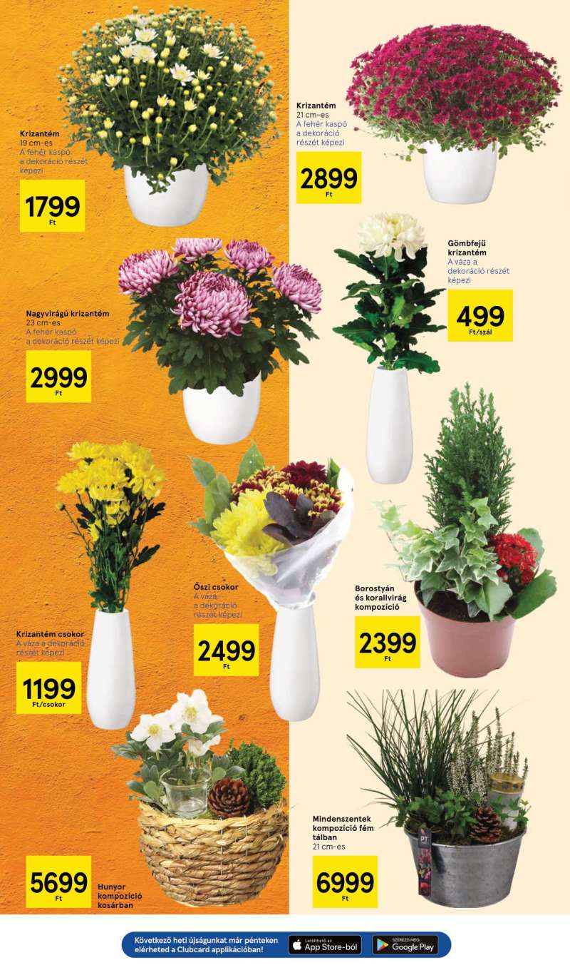 Tesco Akciós Újság Hipermarket 11 oldal