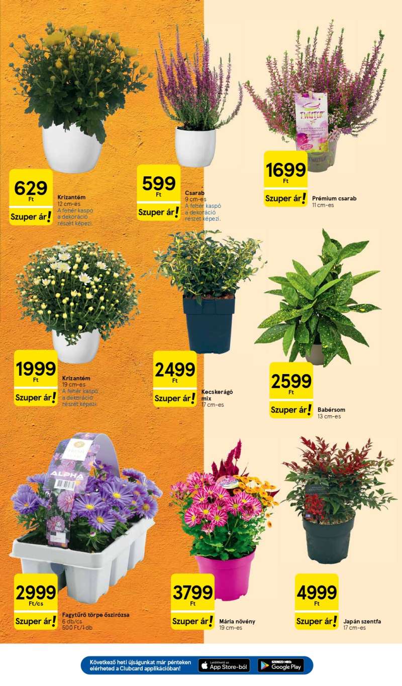 Tesco Akciós Újság 19 oldal