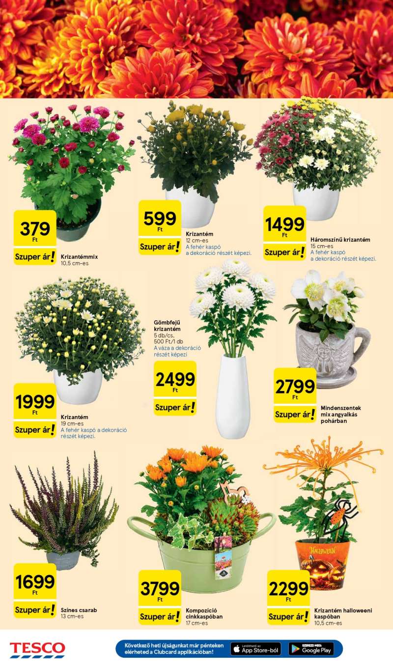 Tesco Akciós Újság 20 oldal