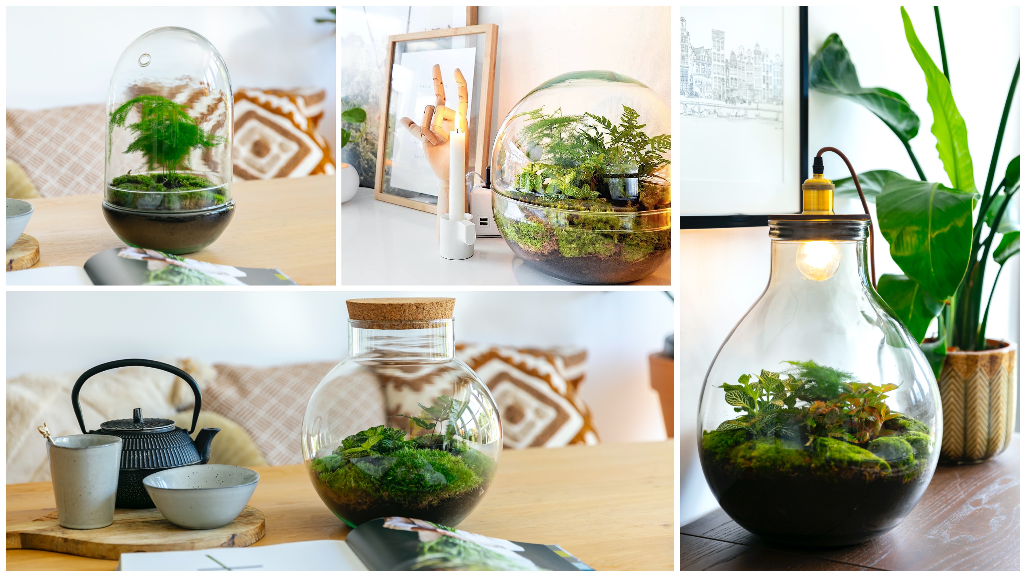 Ebben a webshopban 26 féle florárium közül válogathatsz!