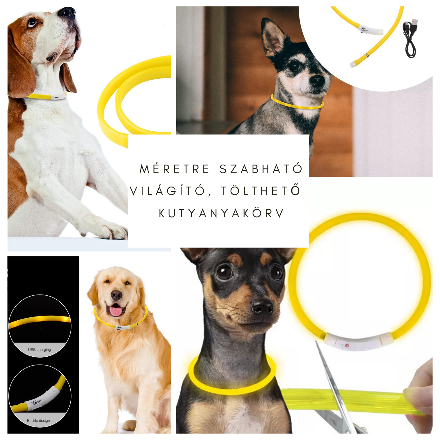Hasznos megoldás kis kedvencünknek: Méretre szabható világító kutya nyakörv