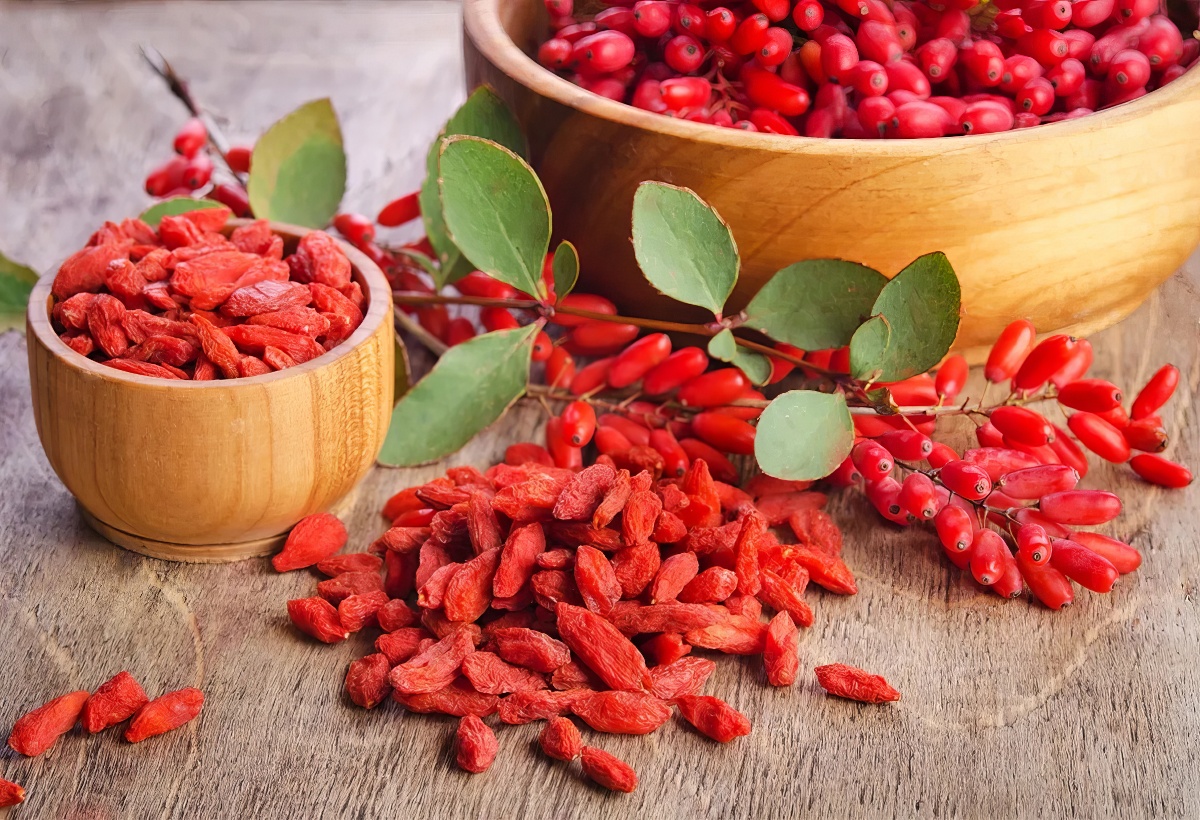 5 ok, miért jótékony a Berberin a bélrendszer egészségére