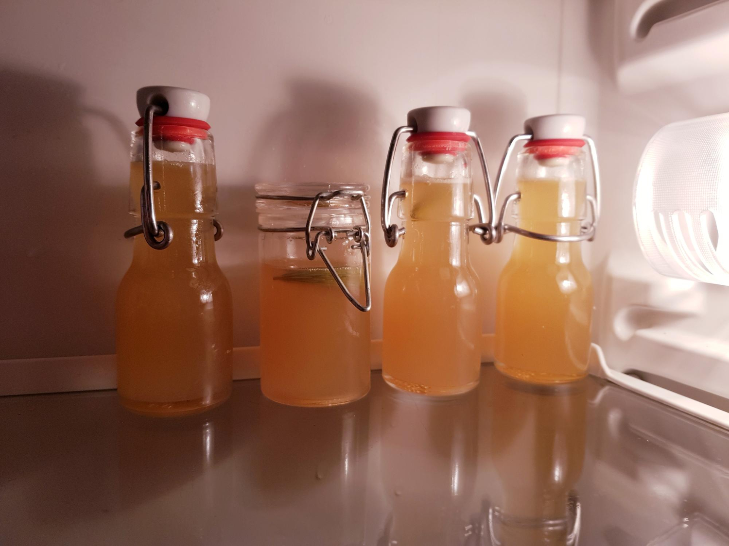 Fermentált italok a fogyókúrában: Egészséges alternatívák cukros üdítők helyett