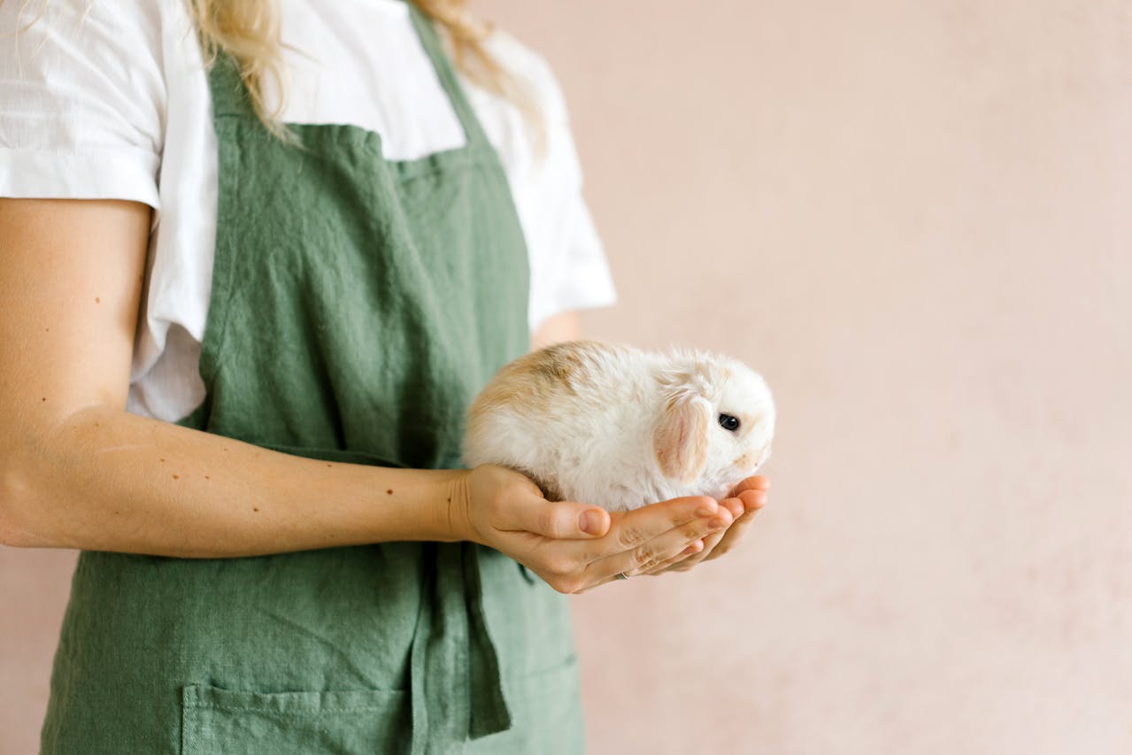 Húsvétra nyuszit szeretnél? Amit feltétlenül tudnod kell a gondozásukról