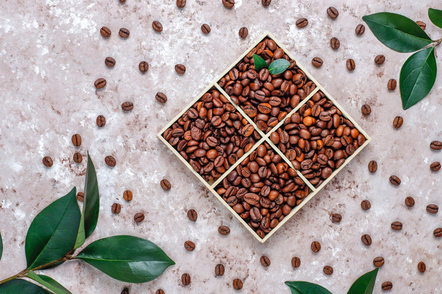 Hogyan használj kávézaccot a növényeid virágzásához: Praktikus útmutató